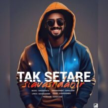 آهنگ جدید سیاوش دبیر به نام تک ستاره